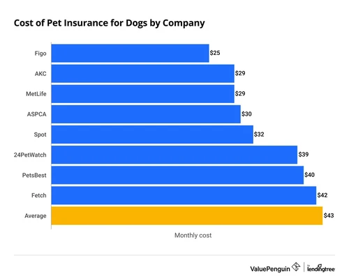 Happy dog with owner in Pennsylvania